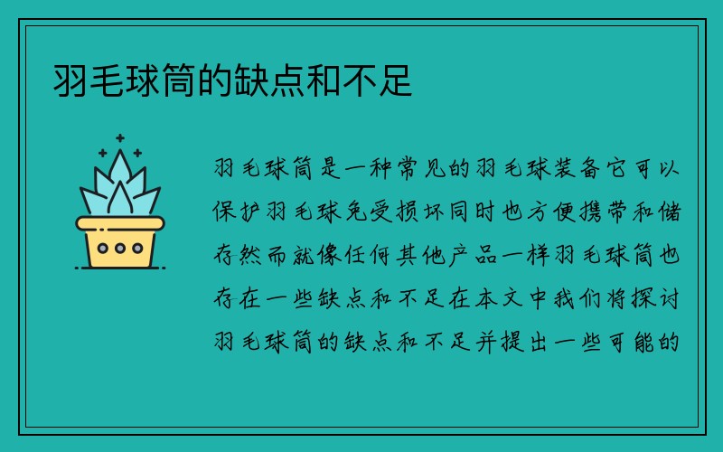 羽毛球筒的缺点和不足