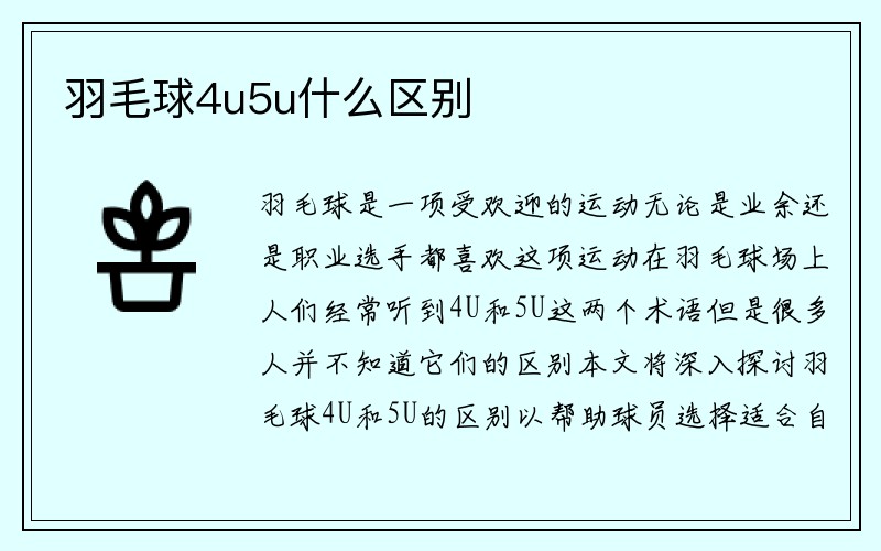 羽毛球4u5u什么区别